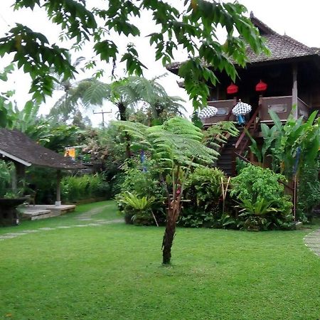 Bali Mountain Retreat Selemadeg (Bali) Exterior foto