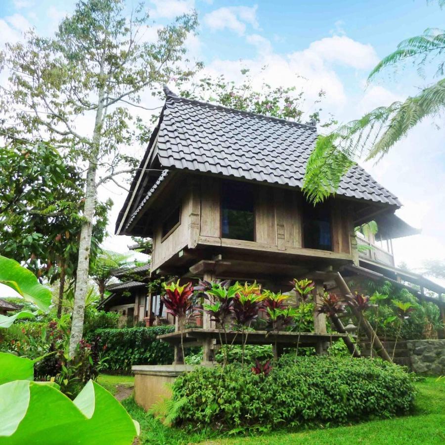 Bali Mountain Retreat Selemadeg (Bali) Exterior foto