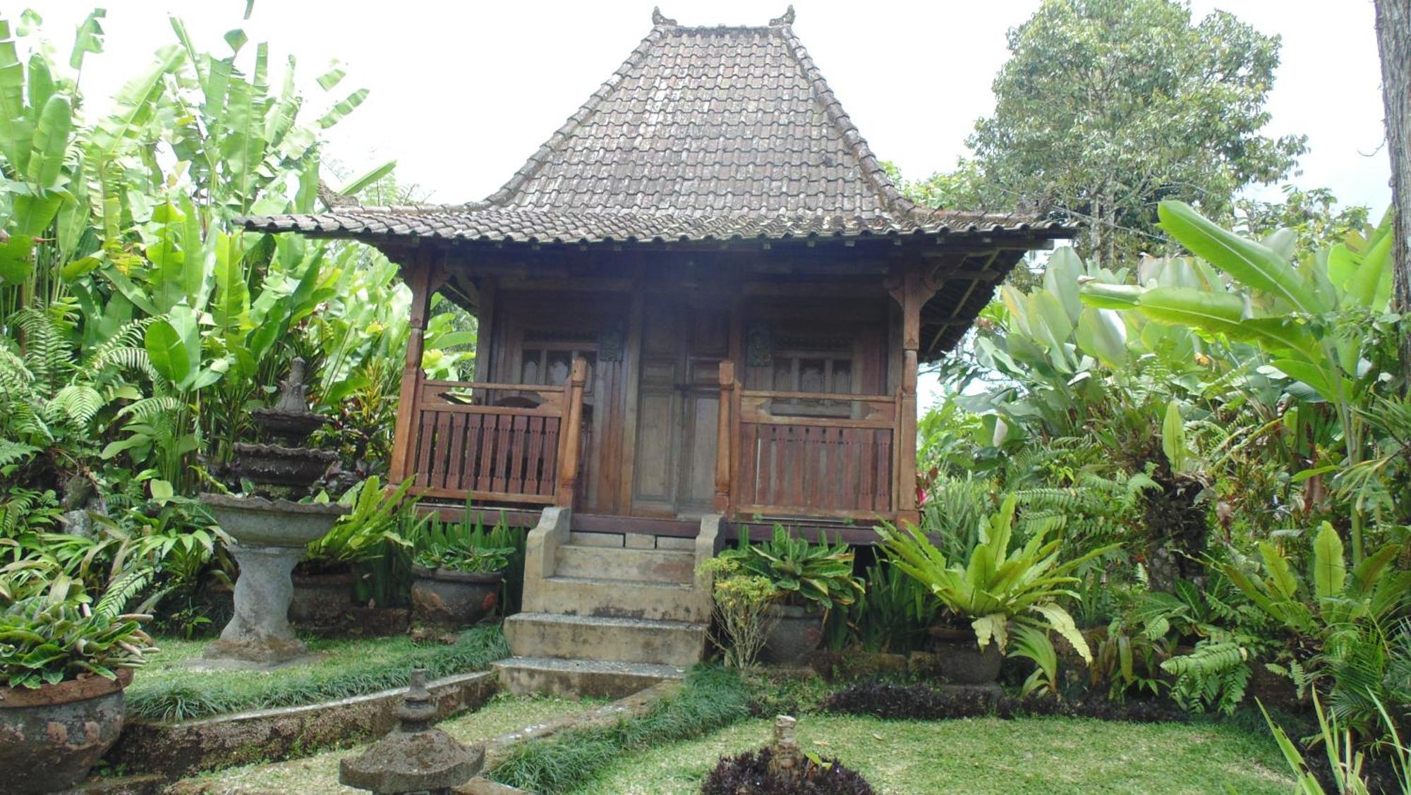Bali Mountain Retreat Selemadeg (Bali) Exterior foto