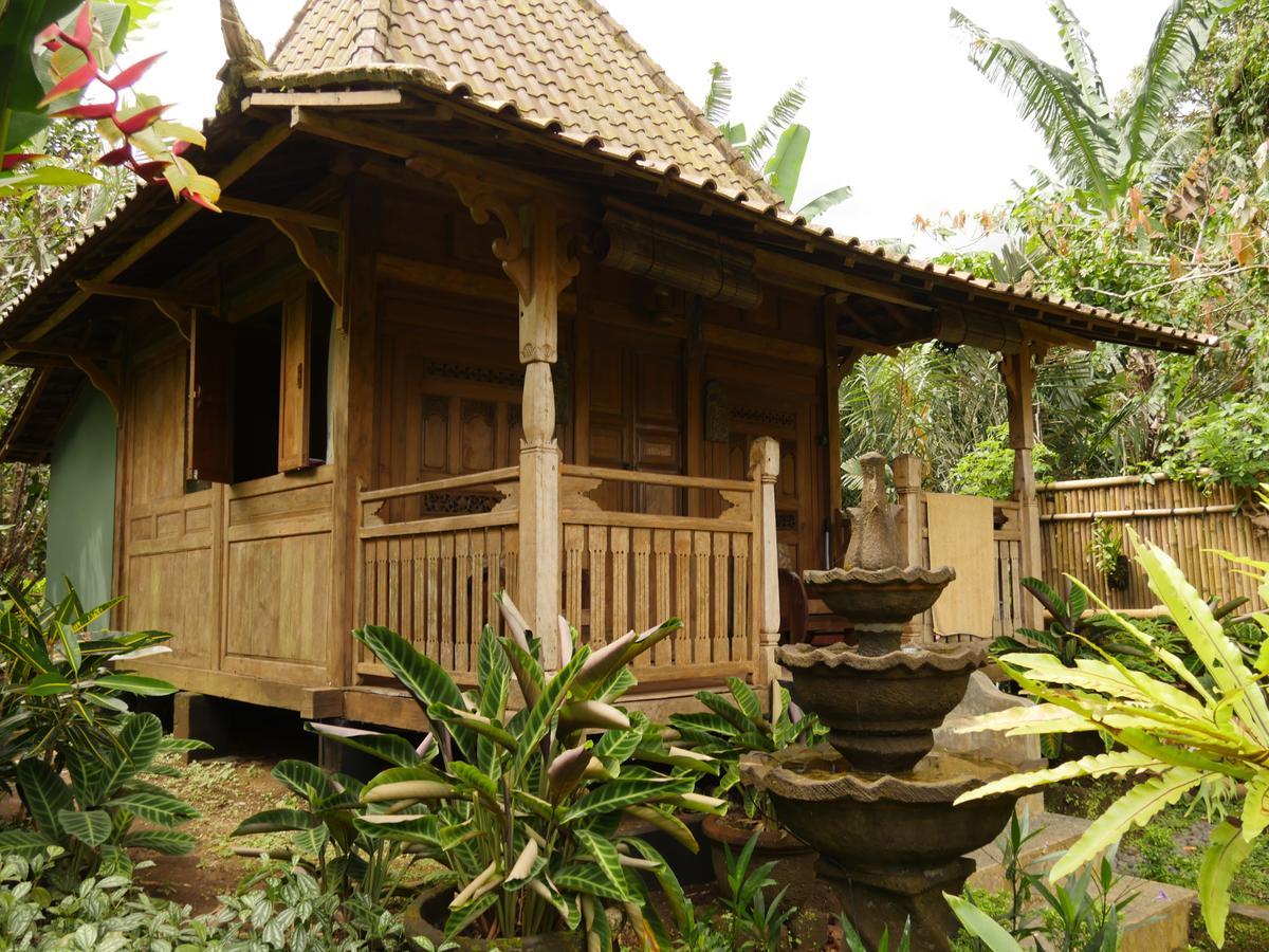 Bali Mountain Retreat Selemadeg (Bali) Exterior foto