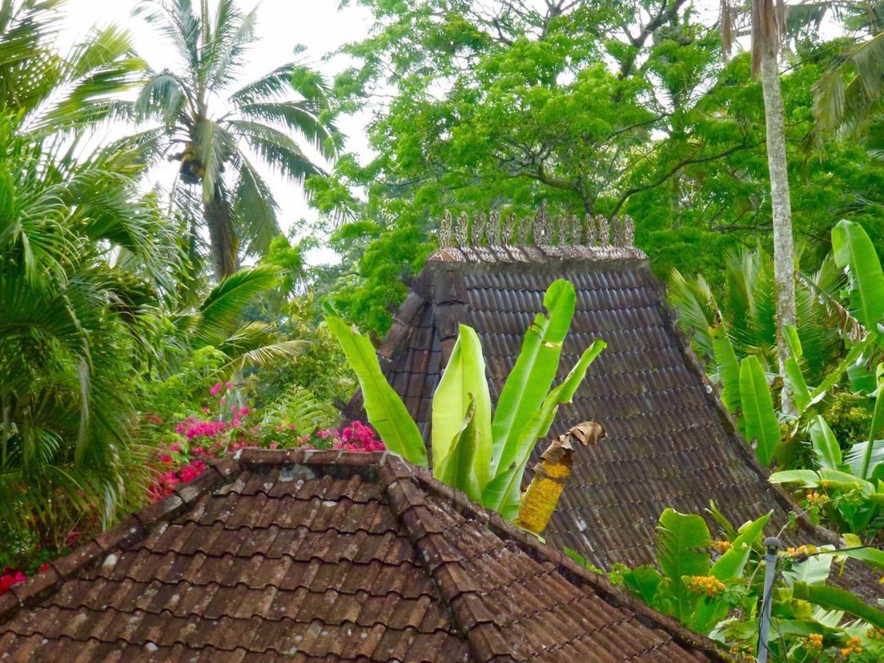 Bali Mountain Retreat Selemadeg (Bali) Exterior foto